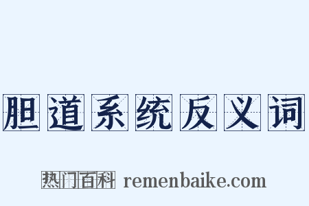 胆道系统反义词是什么意思的图片